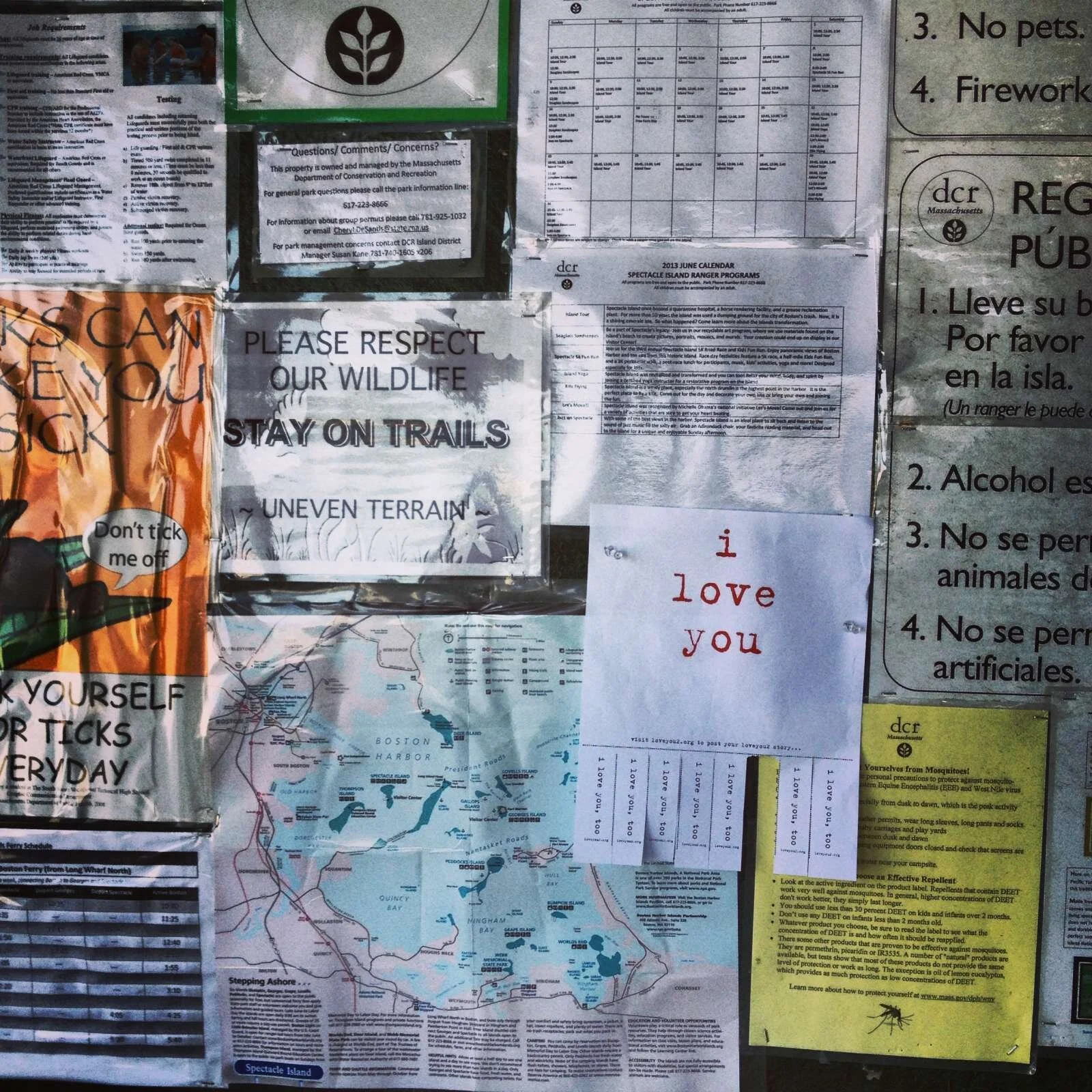 spectacle island, boston harbor love