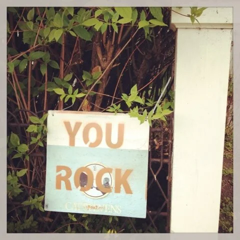 Santa Cruz: YOU ROCK