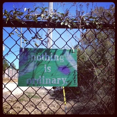 nothing is ordinary