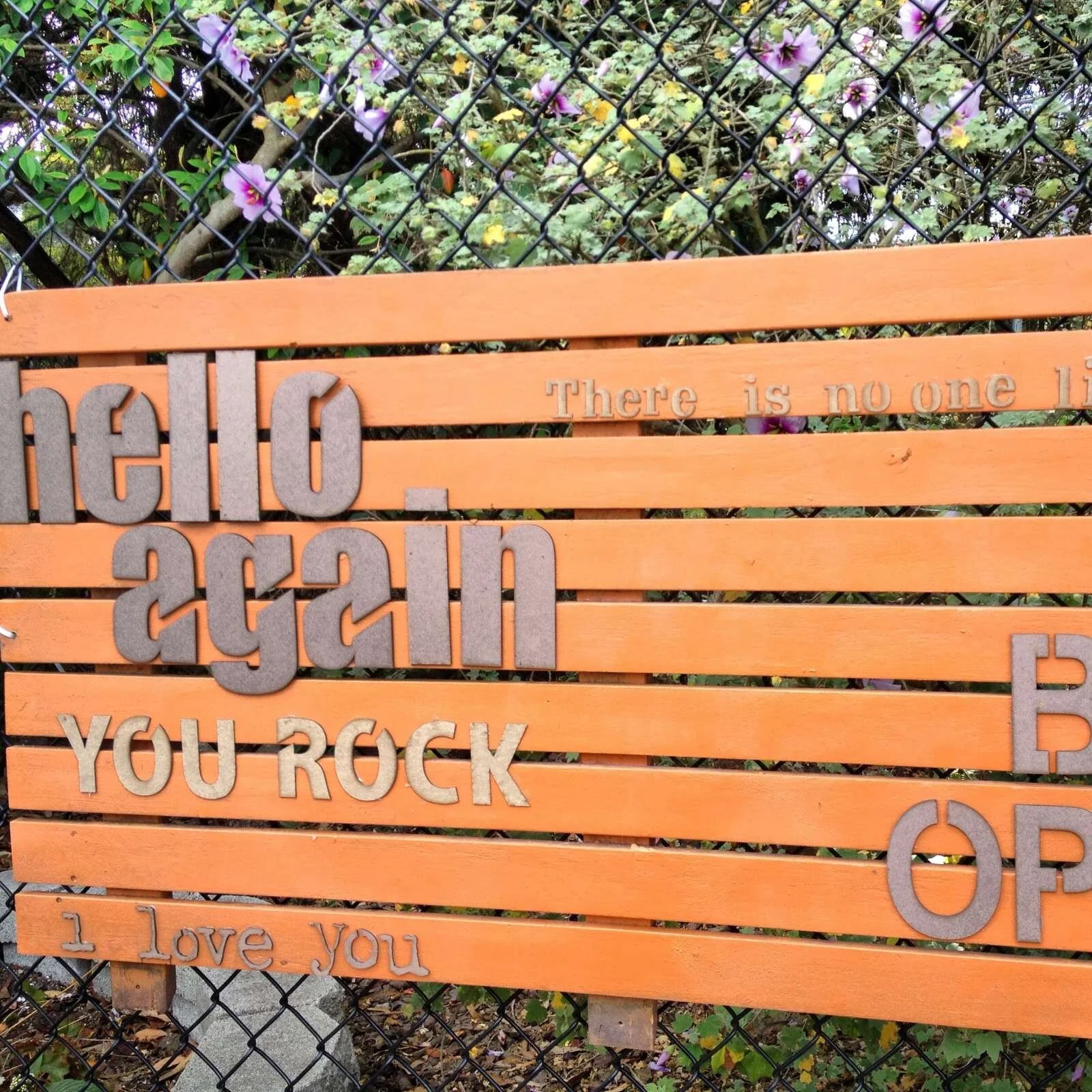 blast of love note signs up in San Francisco