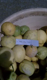 Love you for sharing your lemons