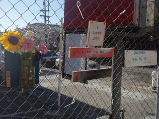 signs of love: have you seen one?