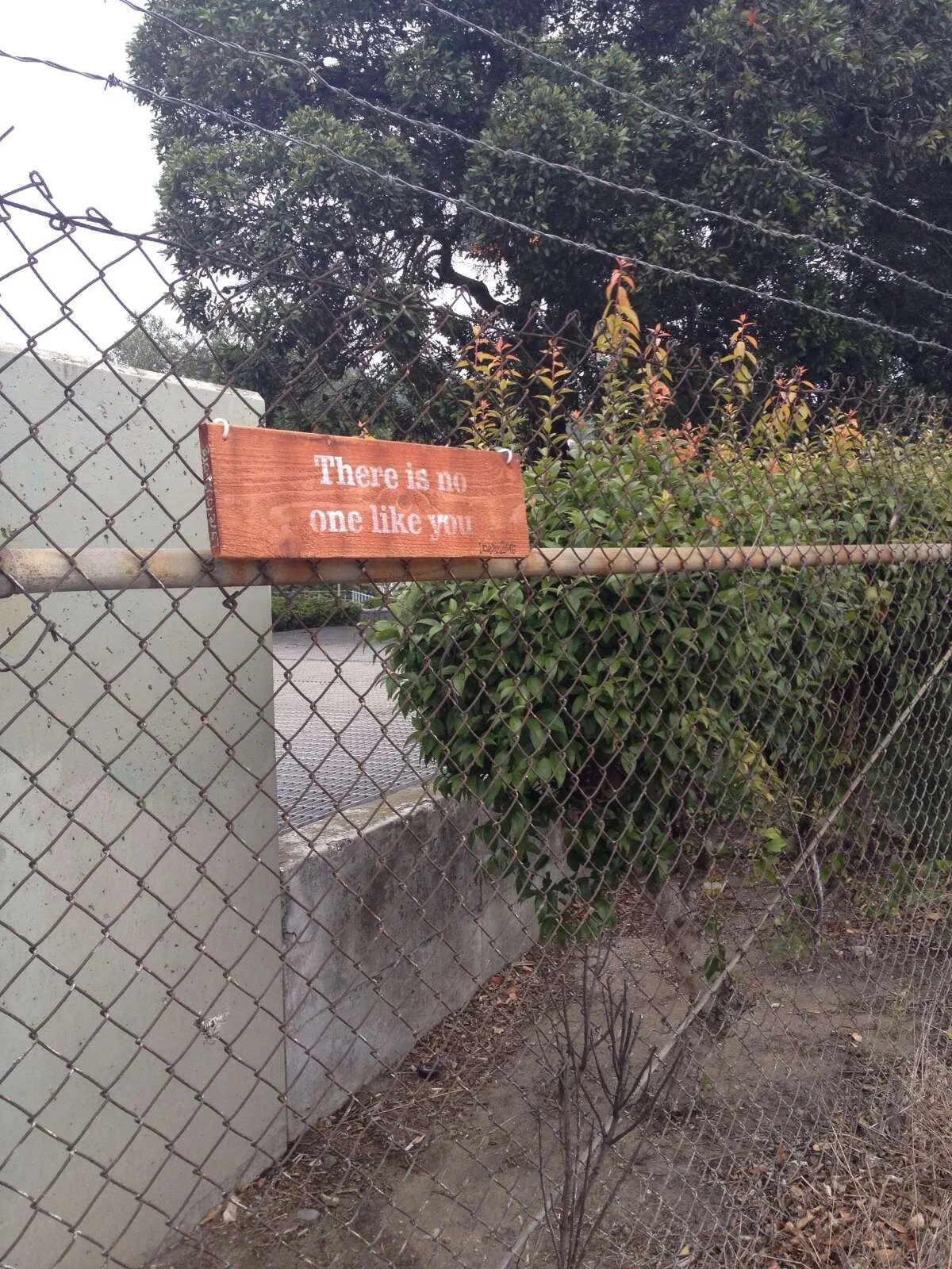 My love for you on Monterrey