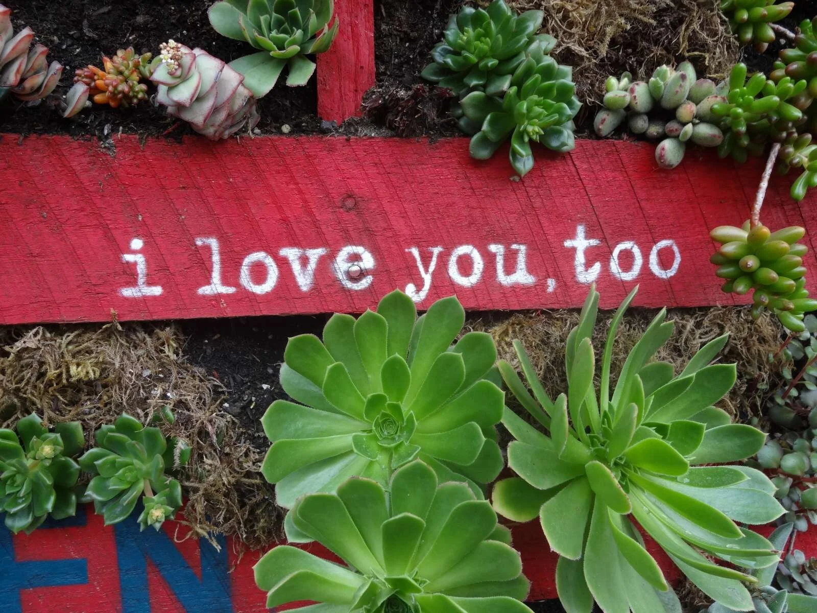 A lover is someone who loves: Celebrating three years of loving you