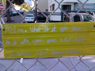 your wild and precious life