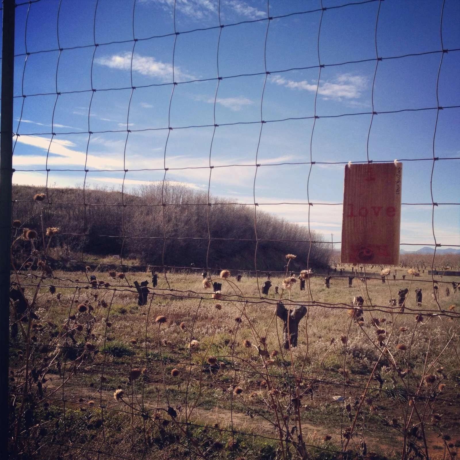 i love you forever: Salem City Cemetary
