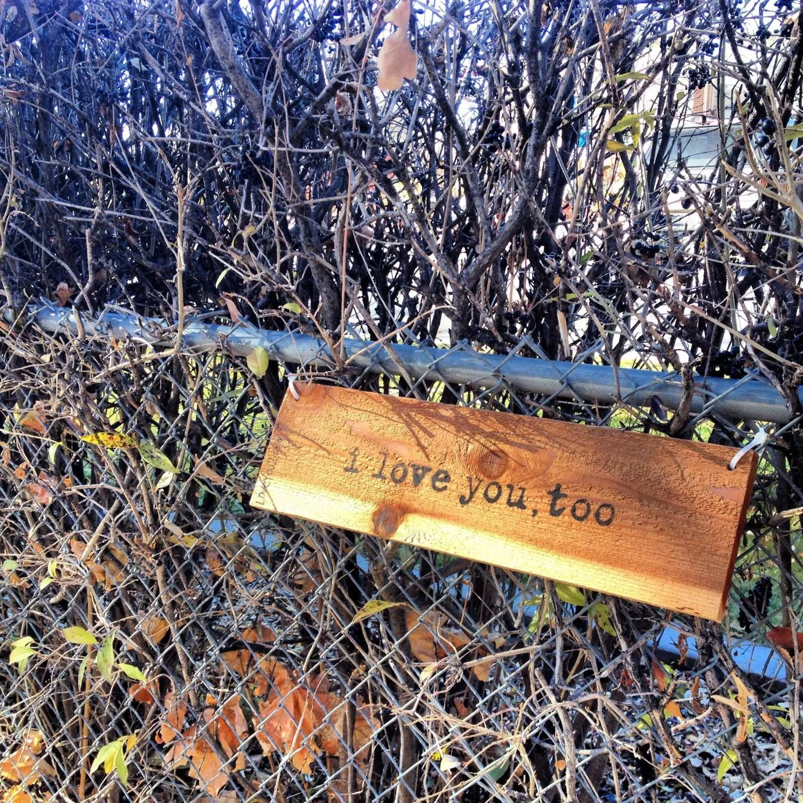 she said yes! Kiwanis Park, Provo, UT