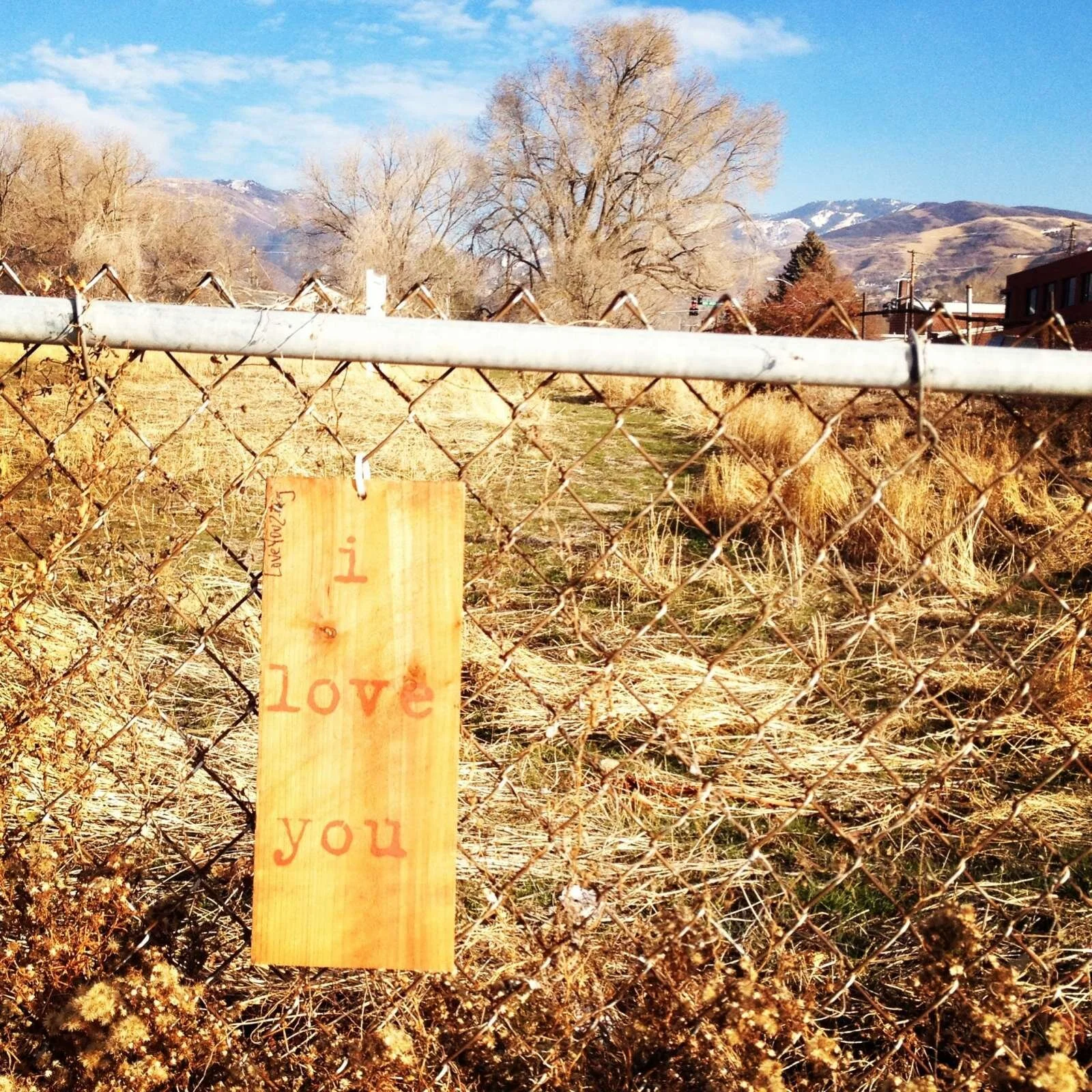 i love you: Nielson's Frozen Custard