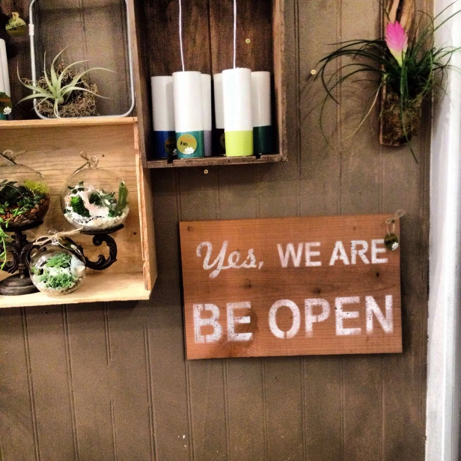 The love looks amazing in Succulence