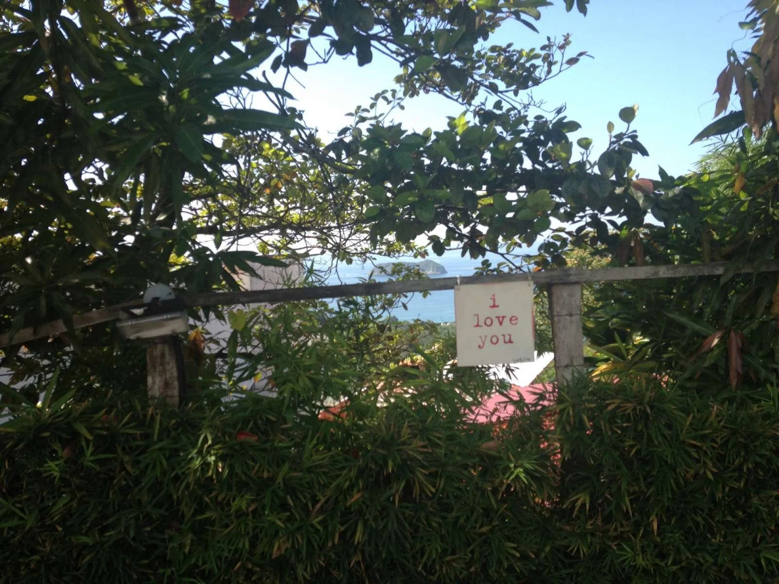 As seen in Manuel Antonio, Costa Rica