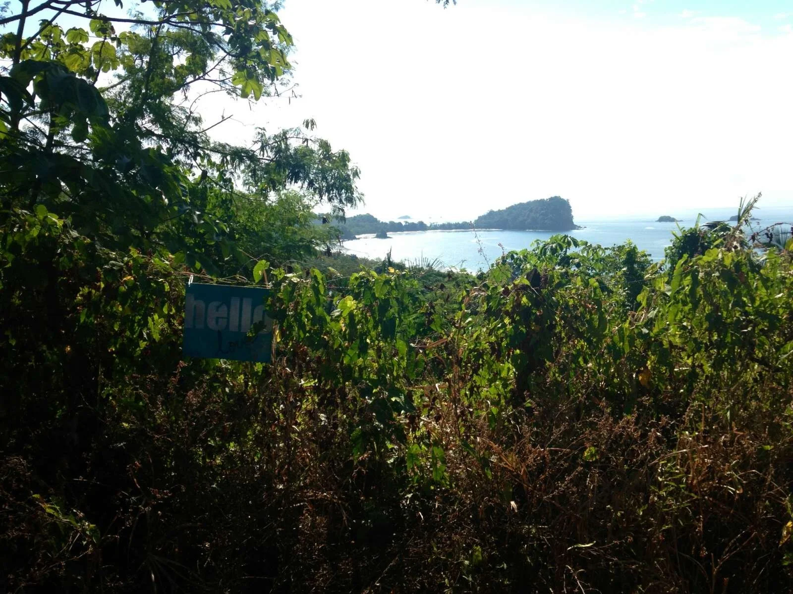 hello love: costa rica