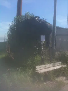 Sometimes when in you're in love...