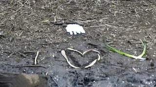 Have you forgotten me?