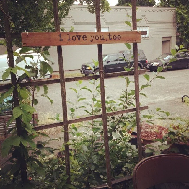 Waking in Gratitude.