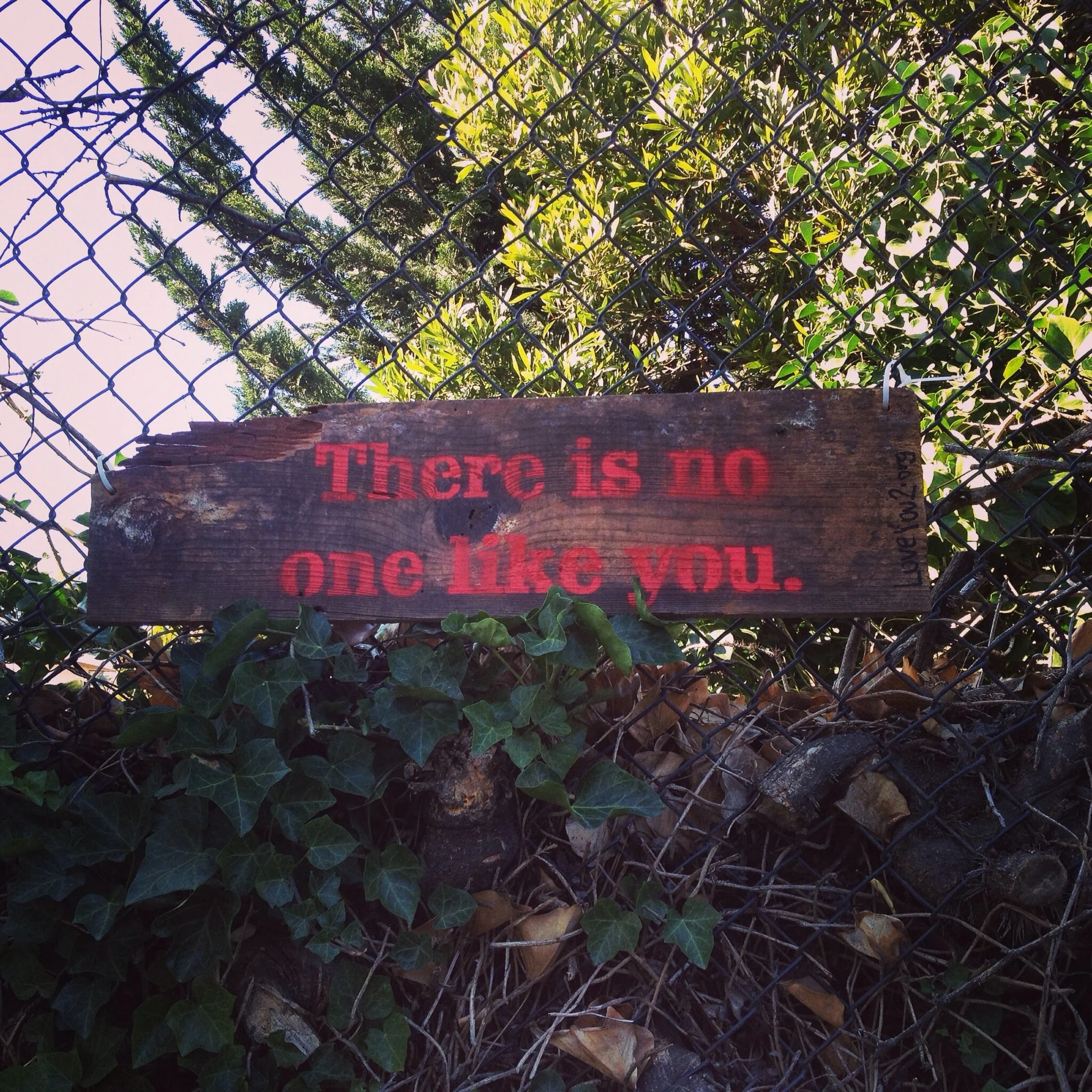 For Carol: Nursing home love