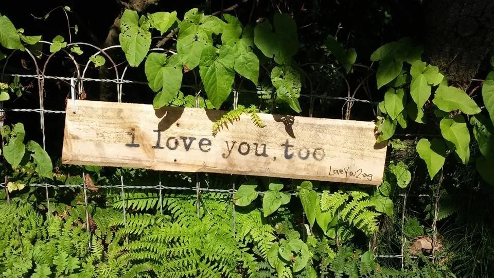 Joslyn's "get love. give love." story