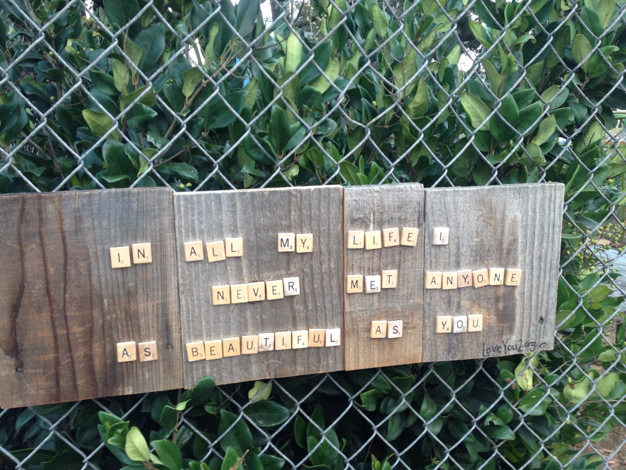 New Liberation Presbyterian Church Community Garden