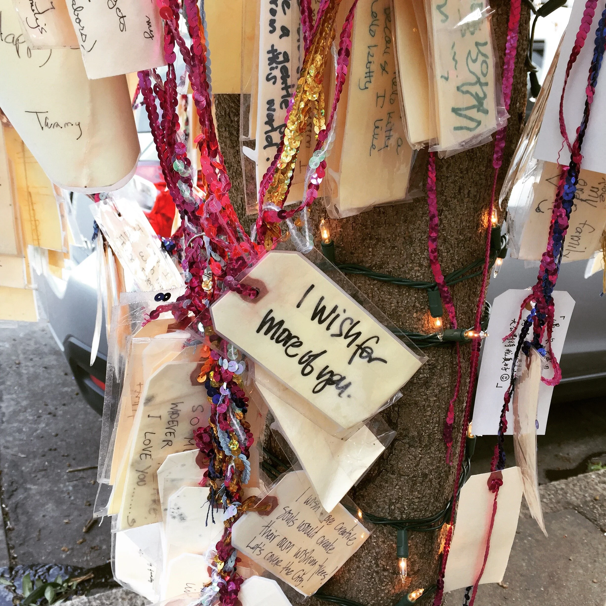 The Wishing Tree San Francisco: She said yes!