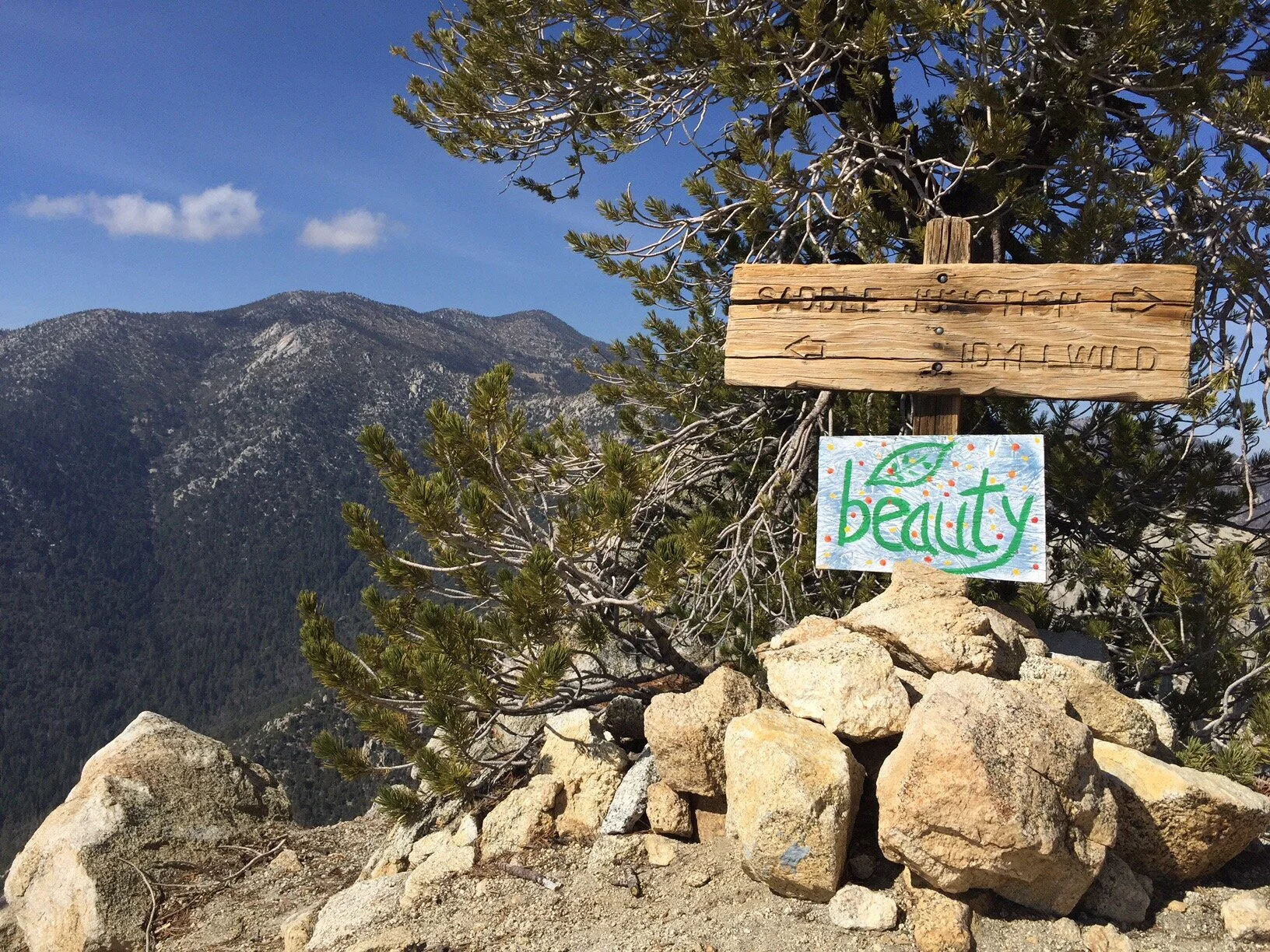 Beauty: South Ridge Trail