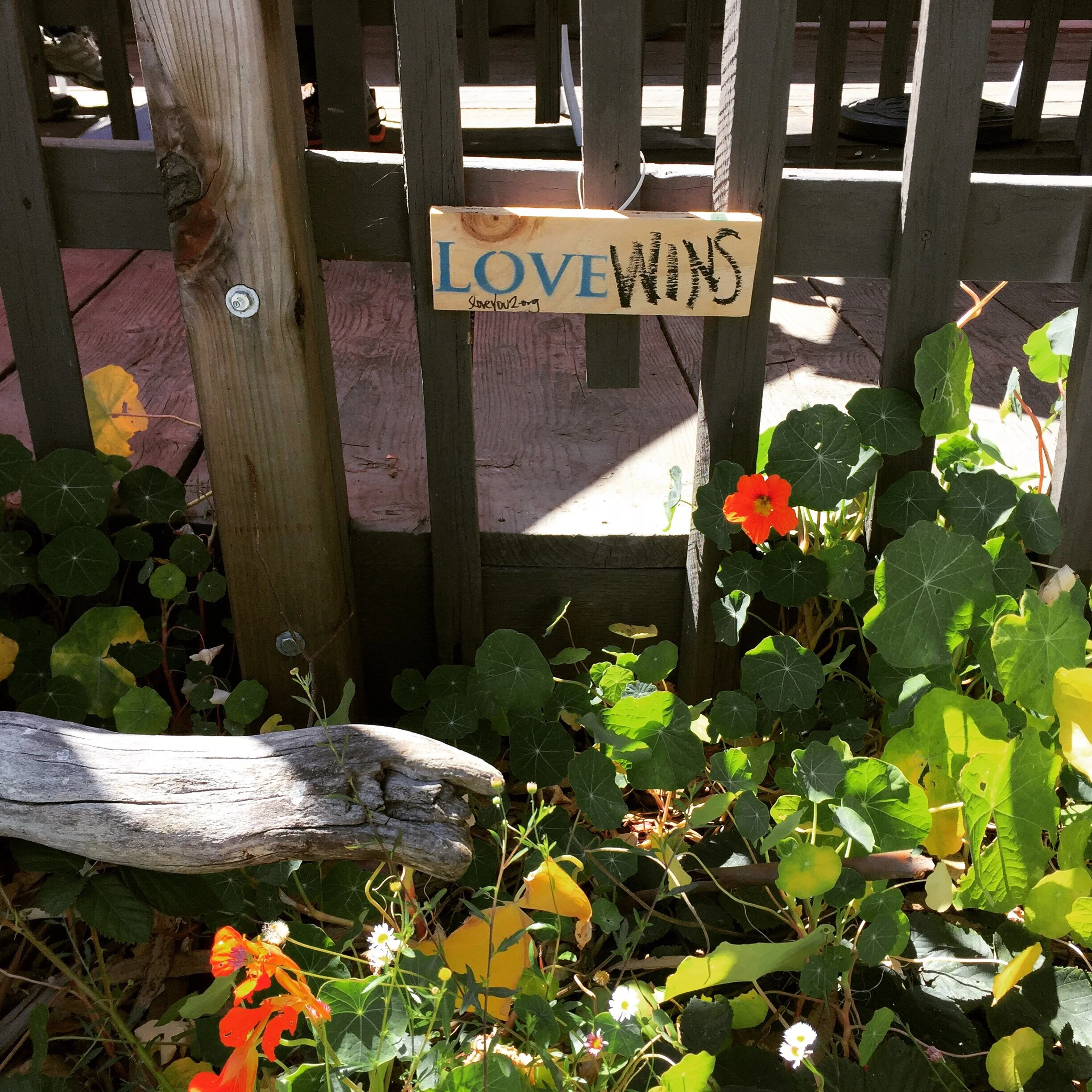 Love wins: San Simeon