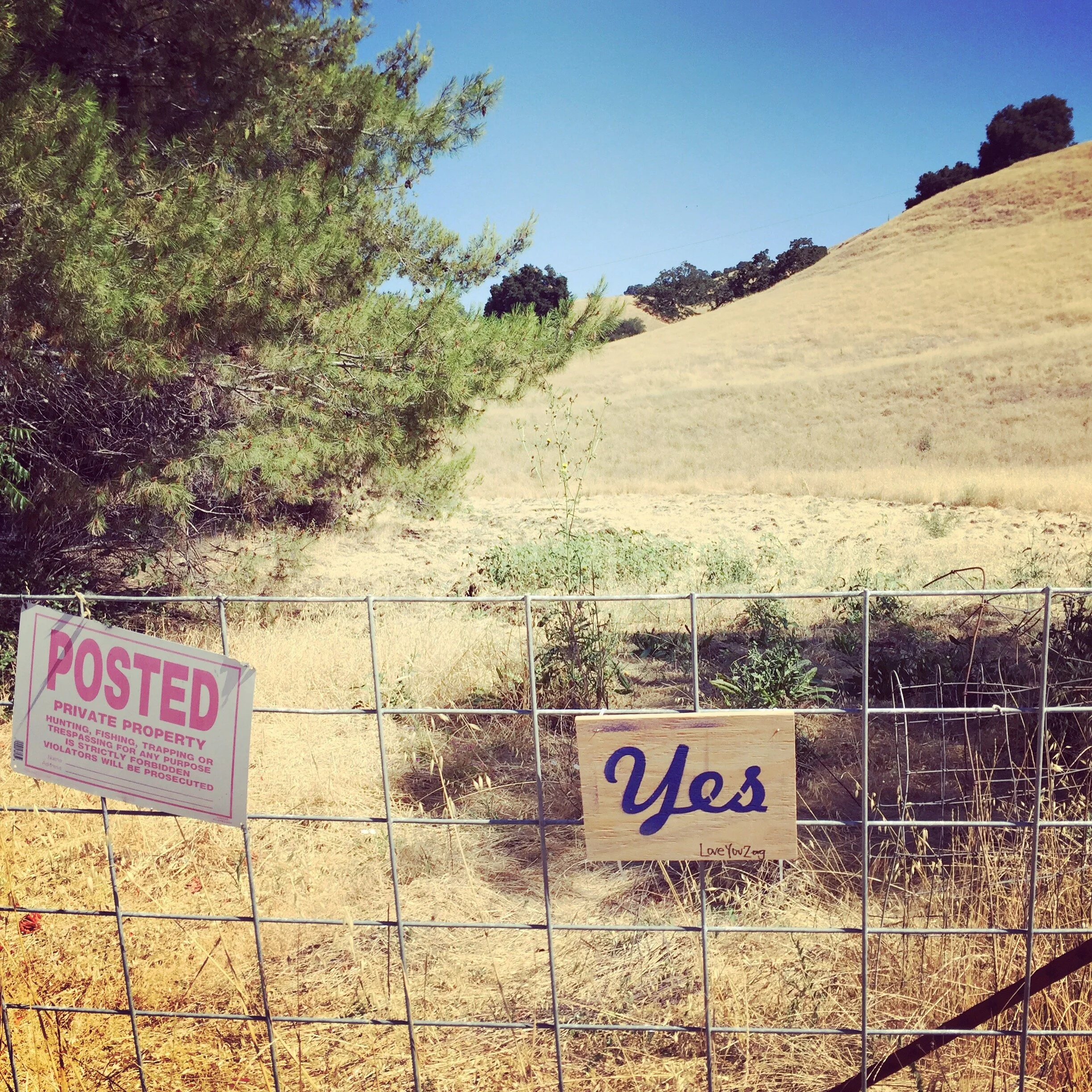yes: Morgan Hill