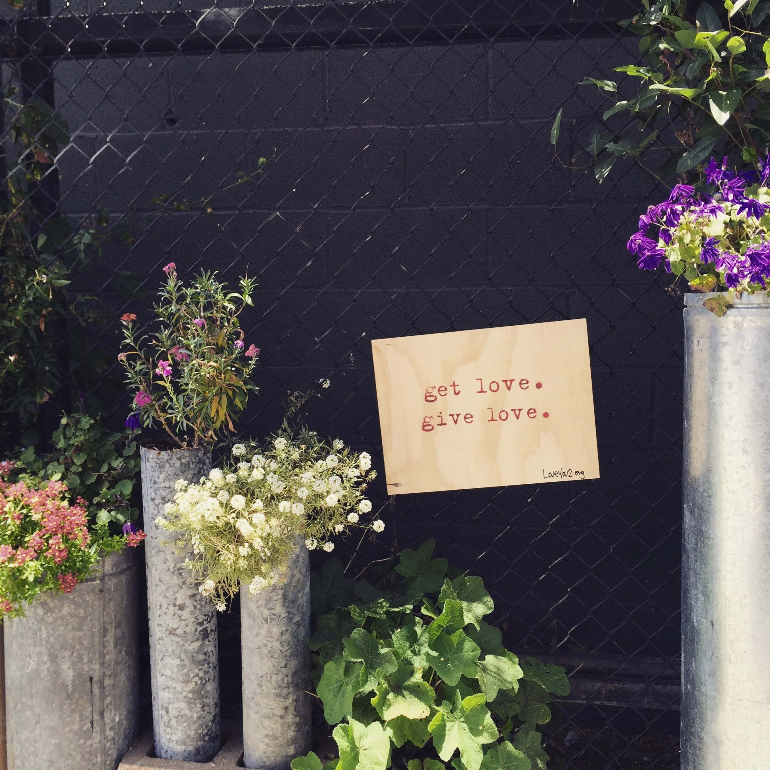 get love. give love.&nbsp;