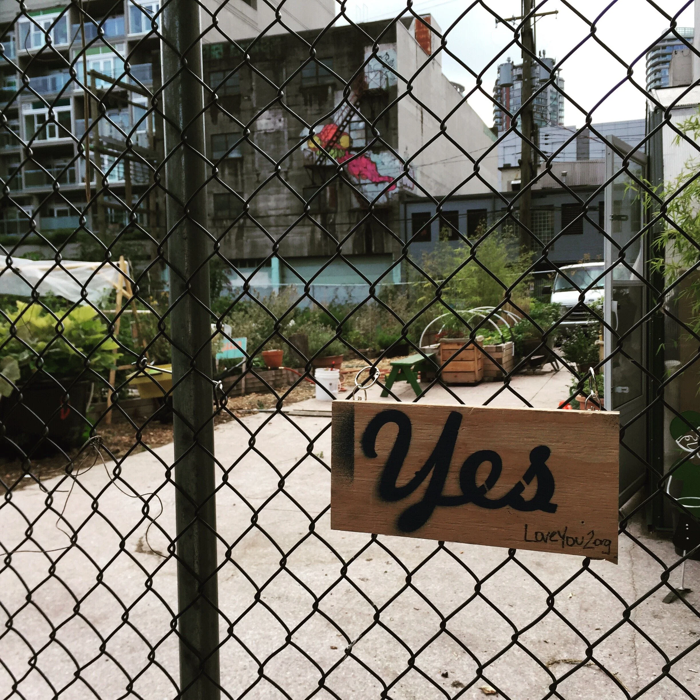 Hastings Urban Garden, Vancouver: yes