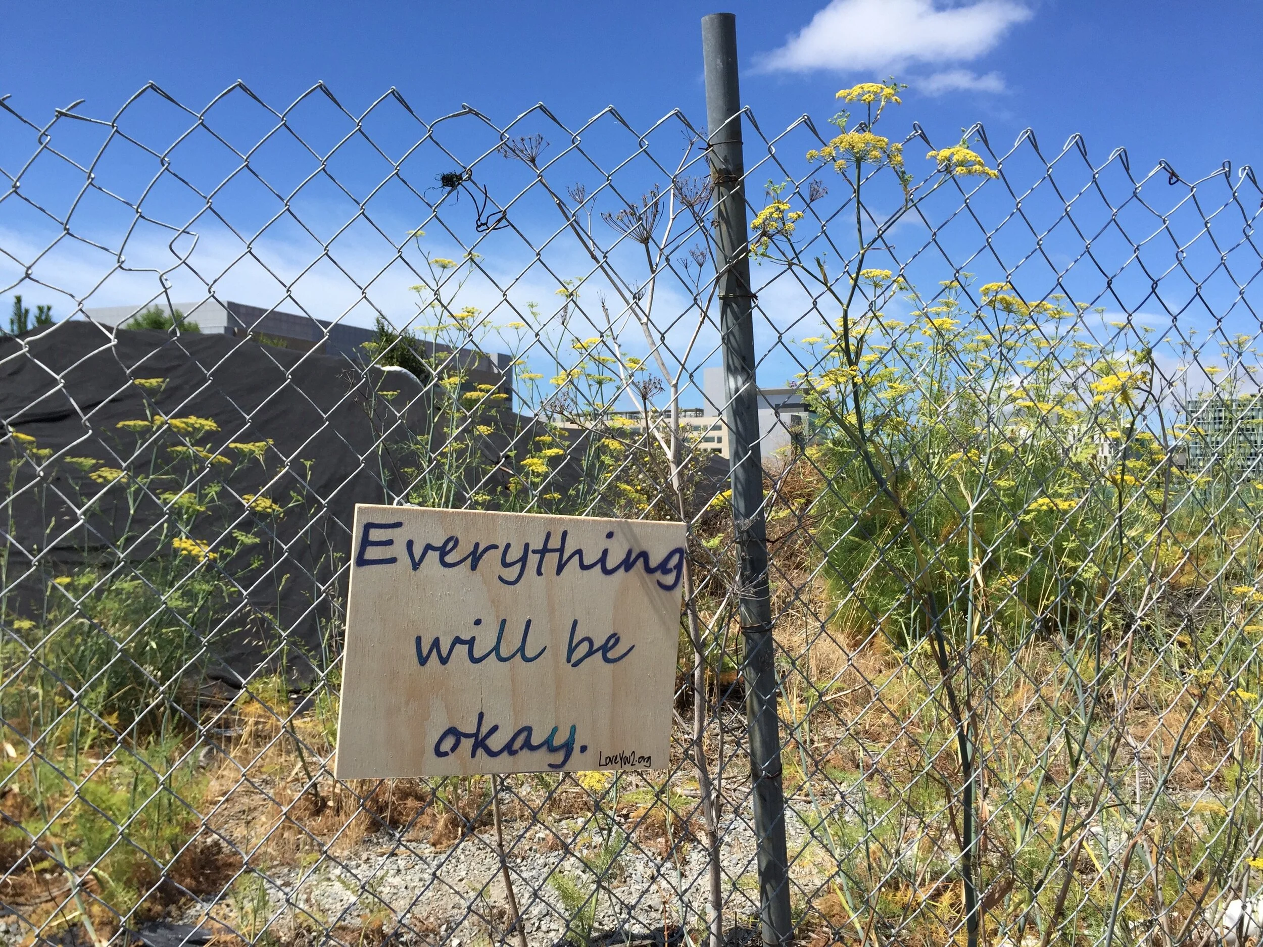 Everything will be okay. Mission Bay