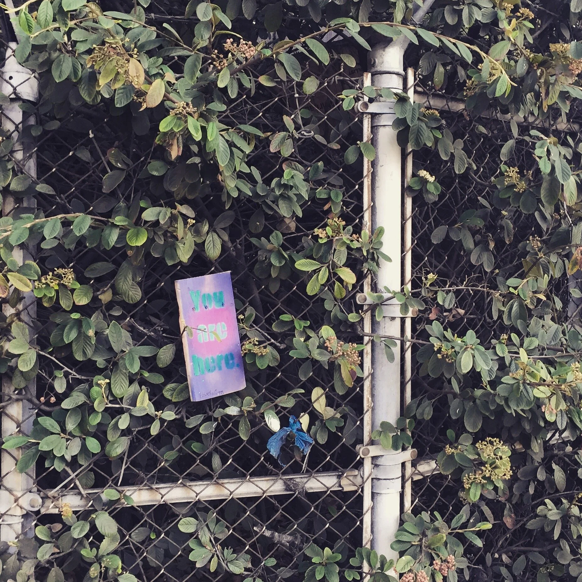 You are here: 16th street