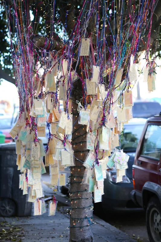 What's in your heart? Wishing Tree SF&nbsp;