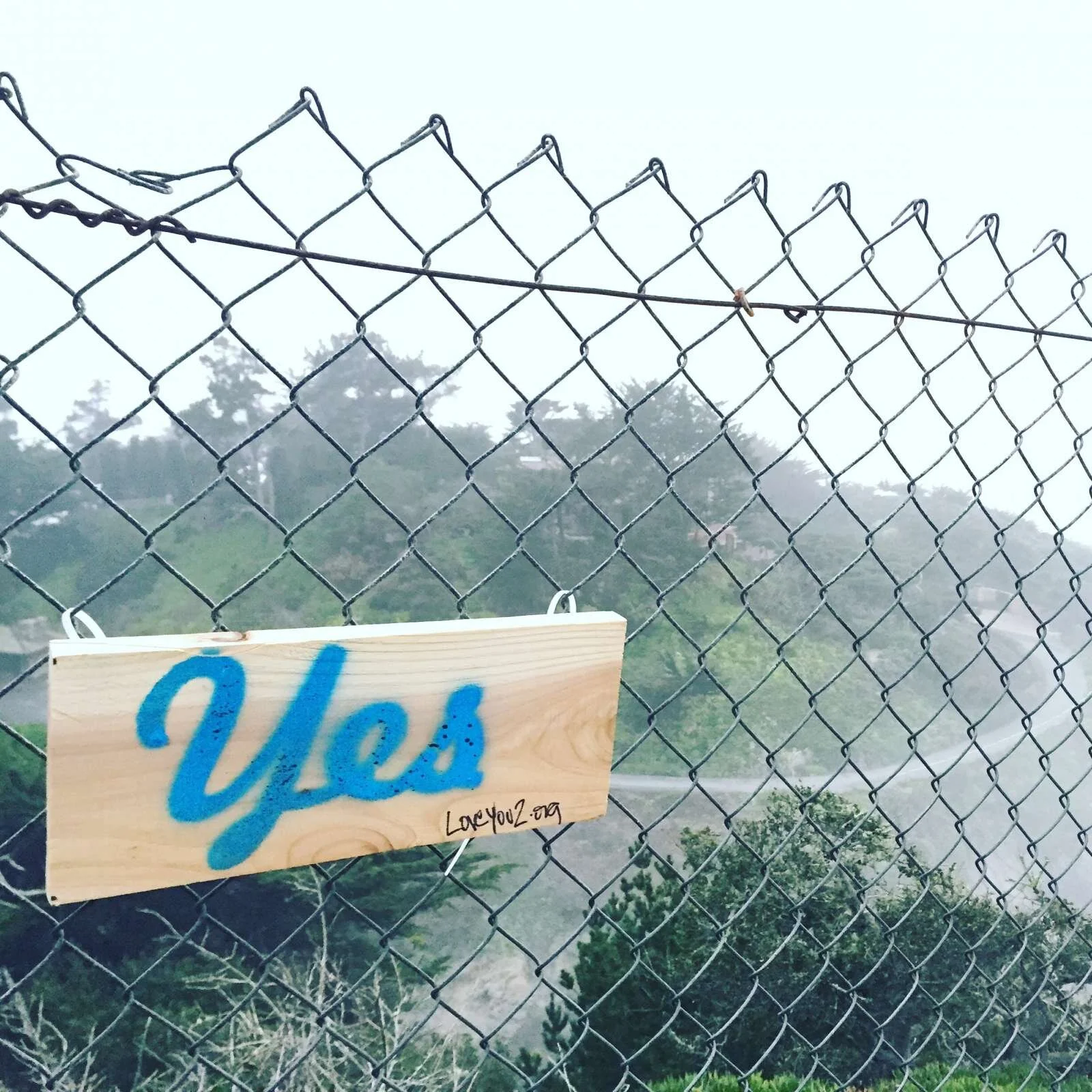 yes: hwy 1