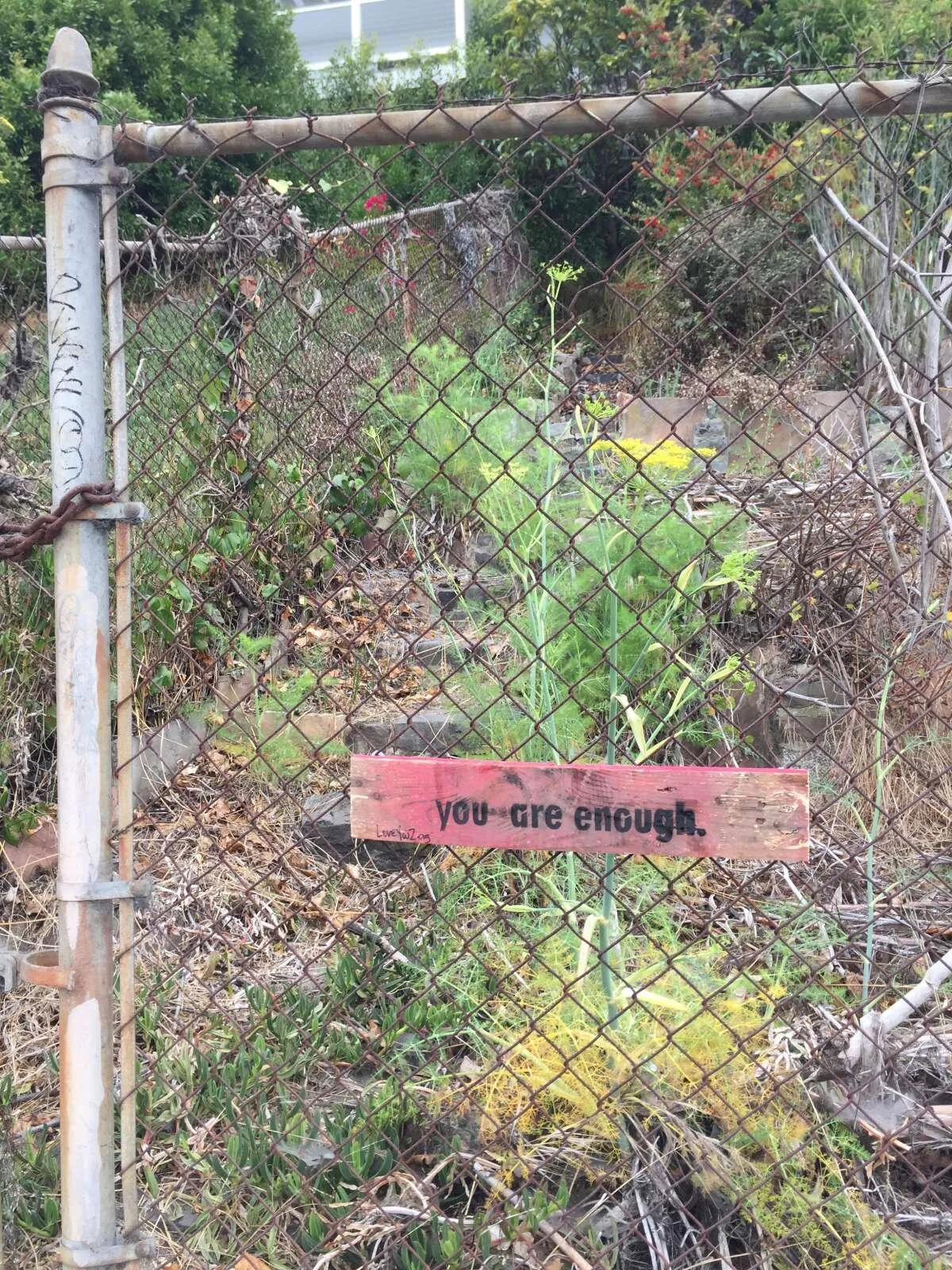 you are enough: turk &amp; baker