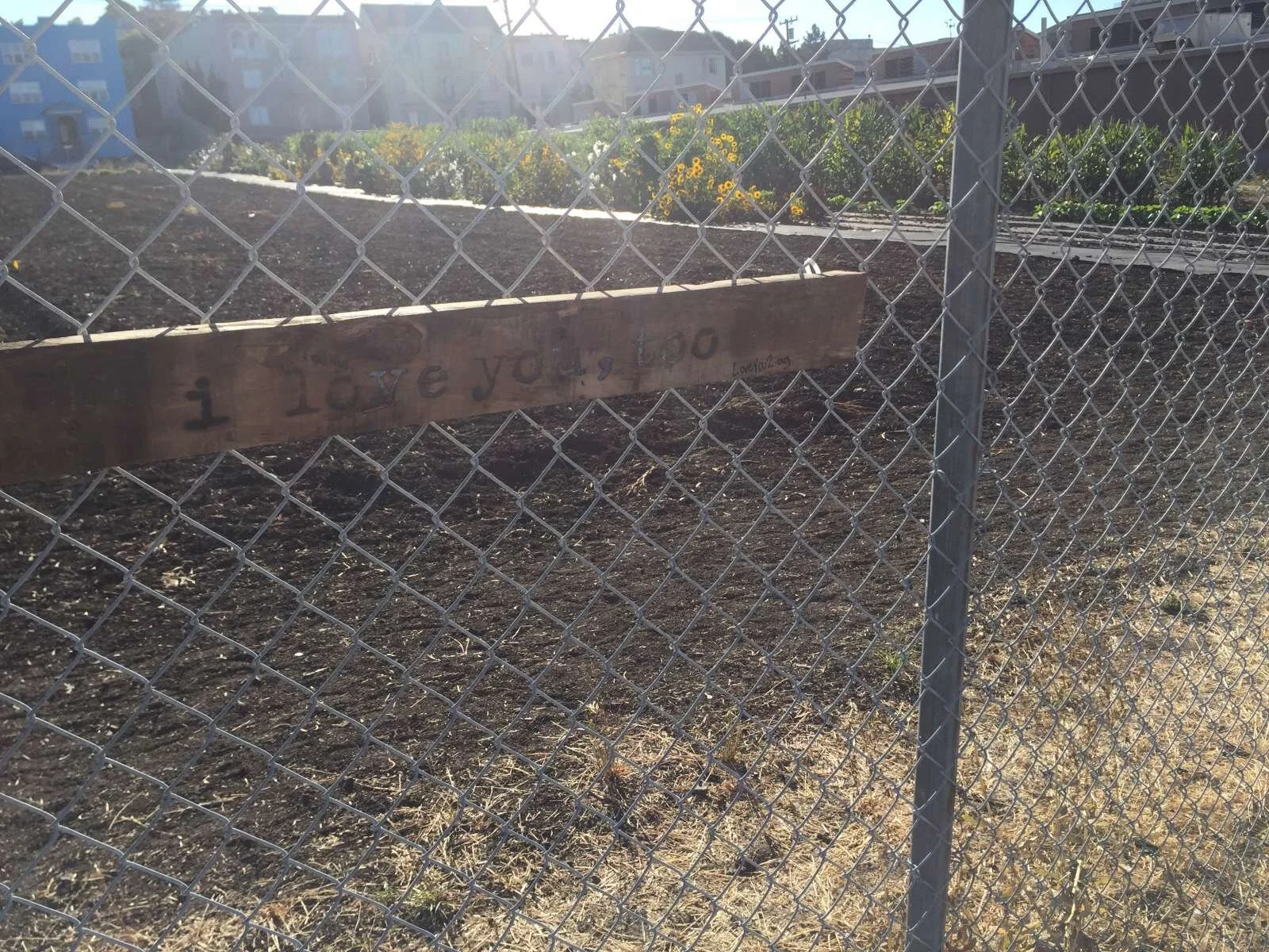 i love you, too: berkeley