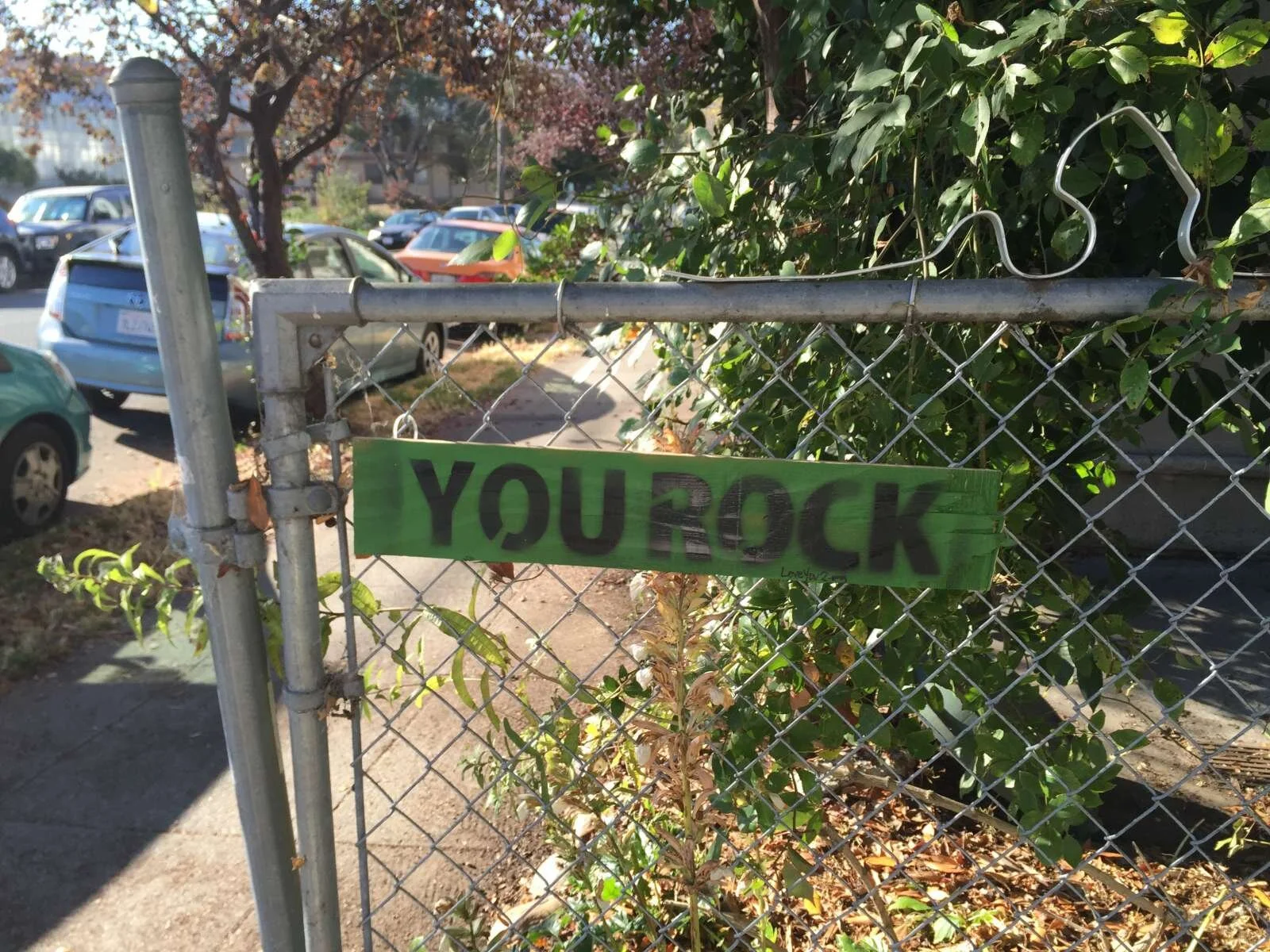 you rock: berkeley