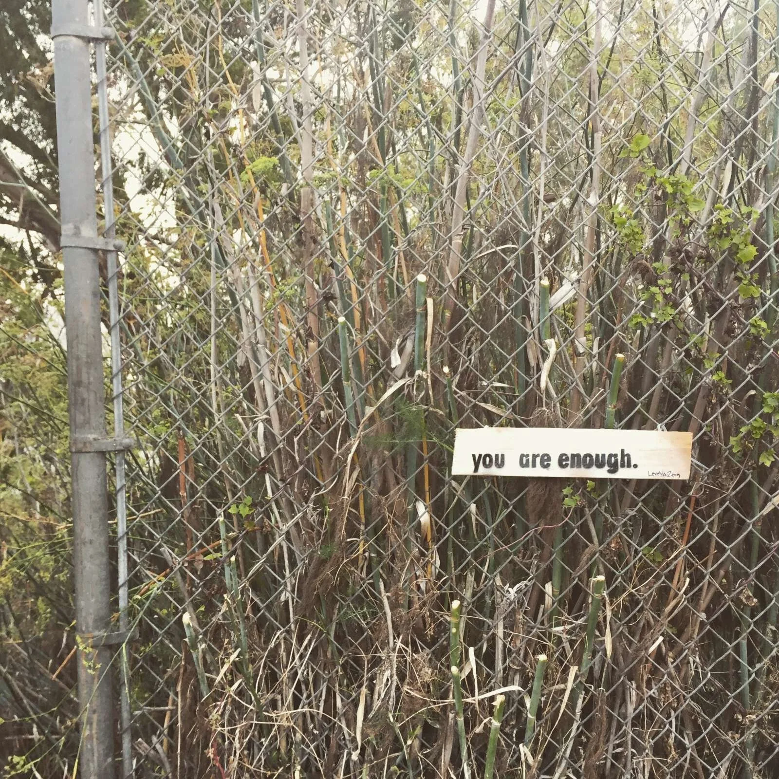 you are enough: sf city college