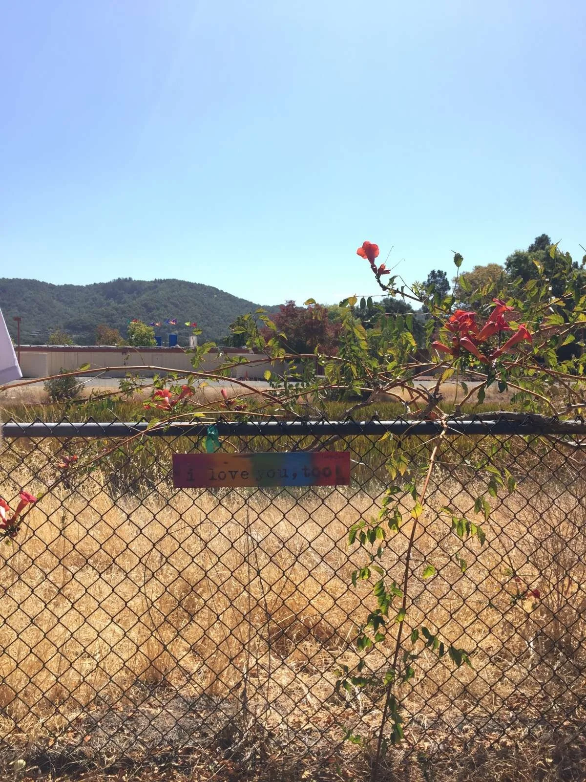 i love you, too: san rafael, ca