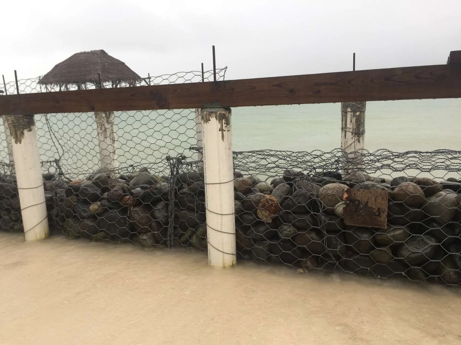 yes: isla bustamante, panama