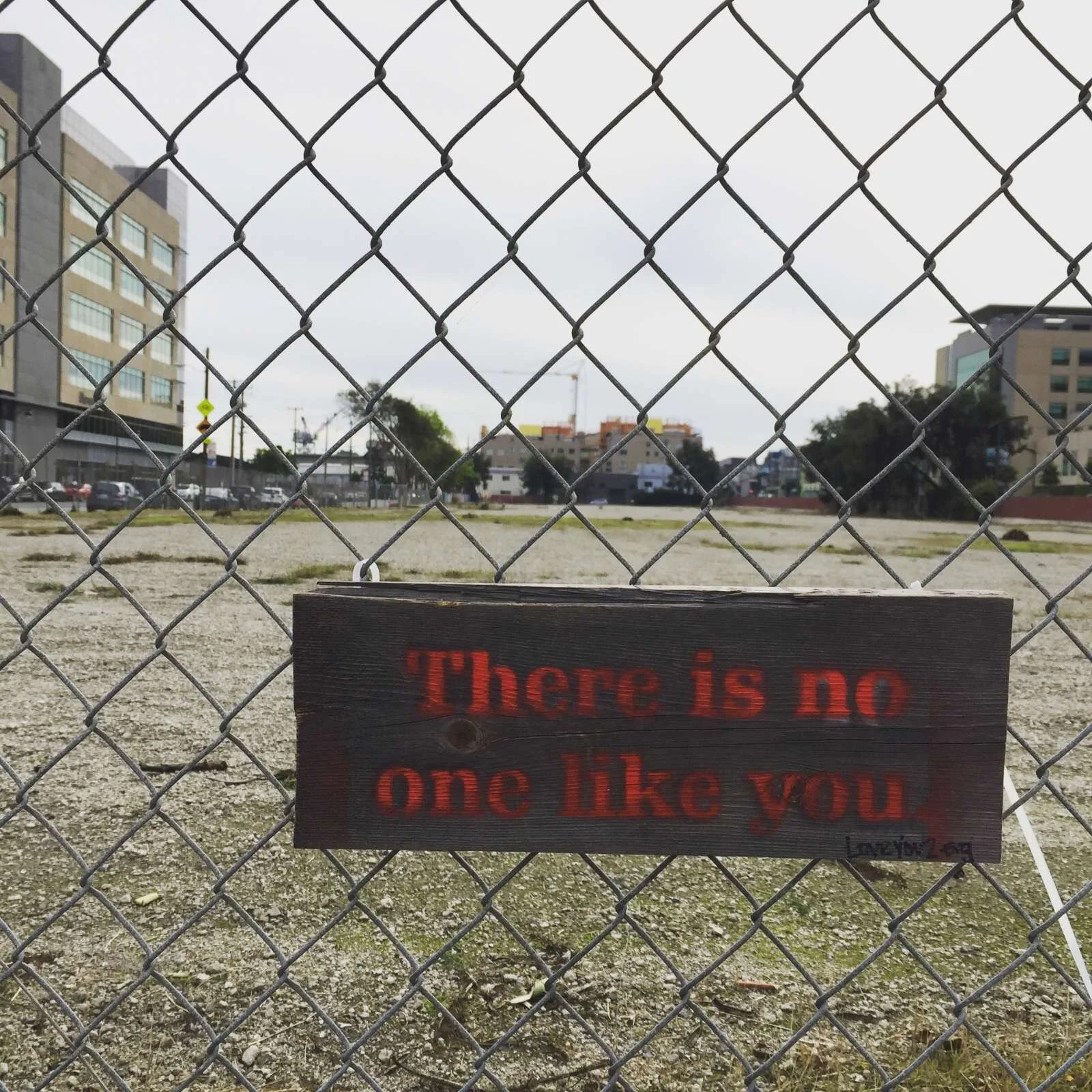 There is no one like you: Mission Bay