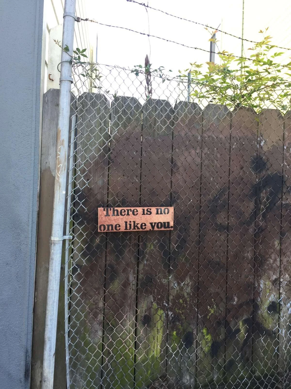 There is no one like you, Janna.&nbsp;