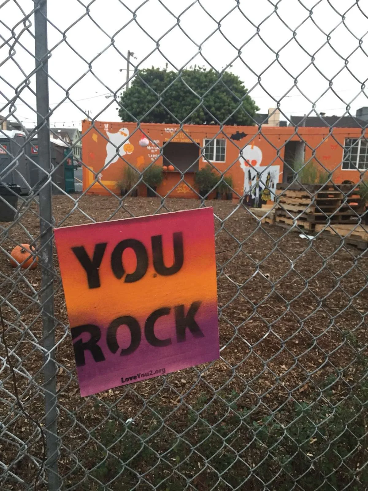 you rock: bayview