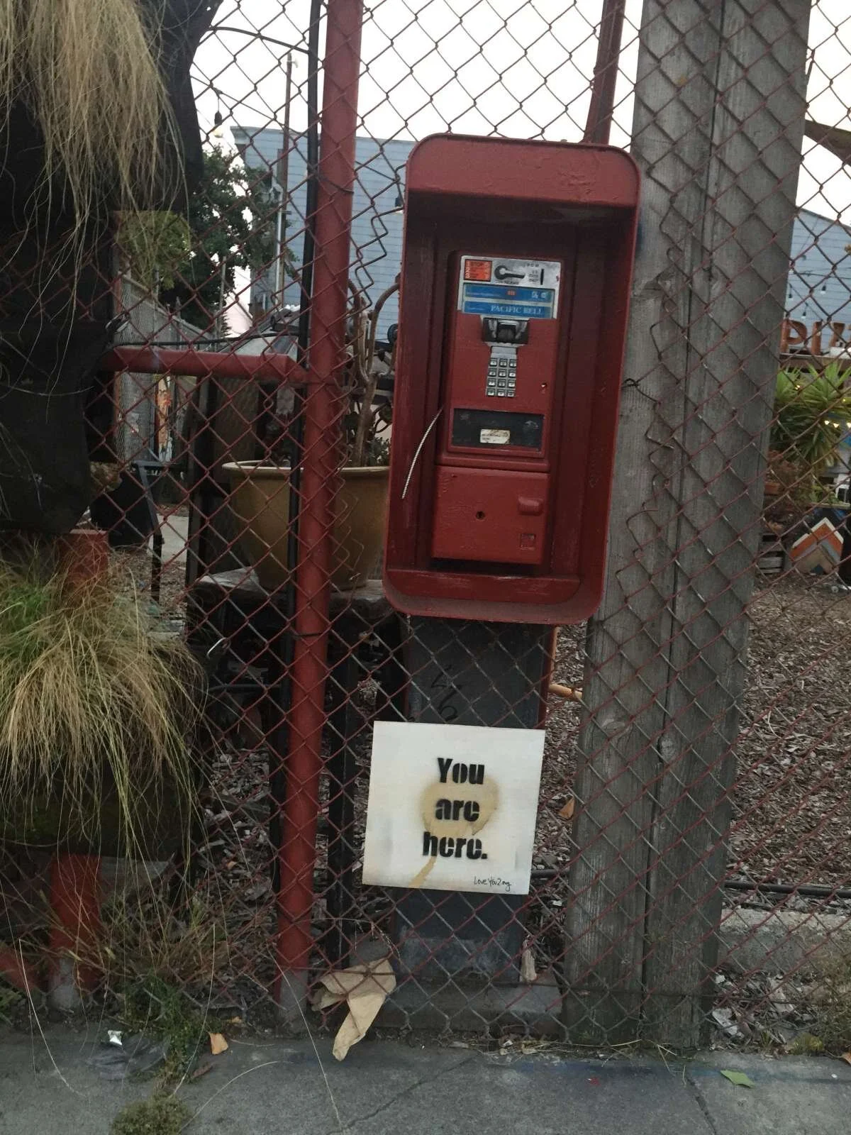 you are here: bayview