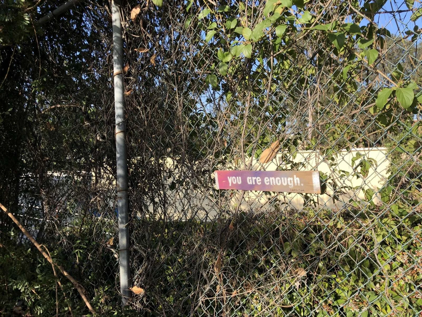 you are enough: CSULA