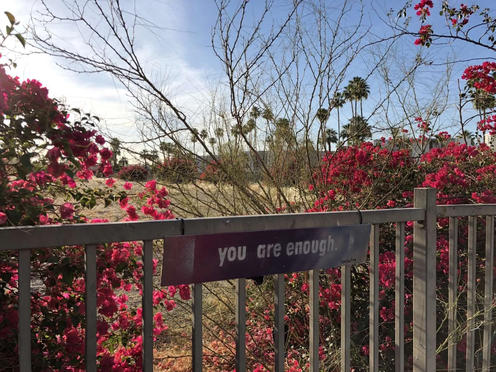 you are enough: palm springs