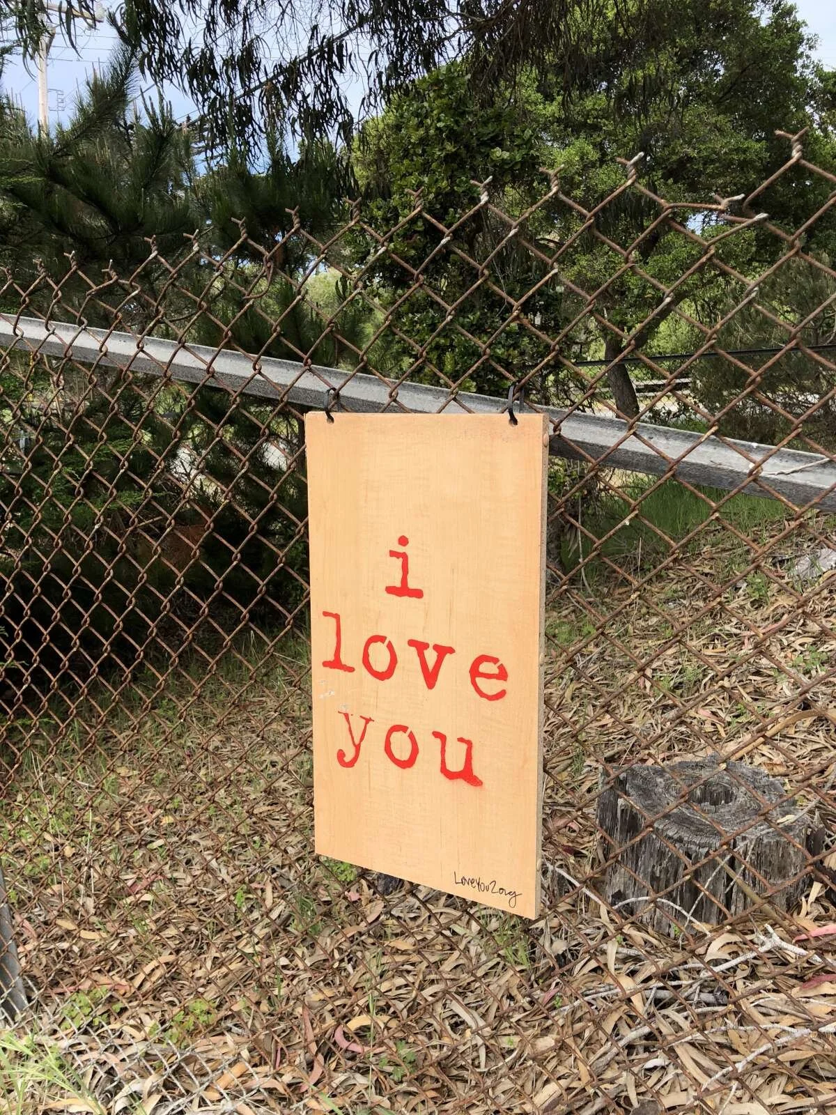 i love you: asilomar