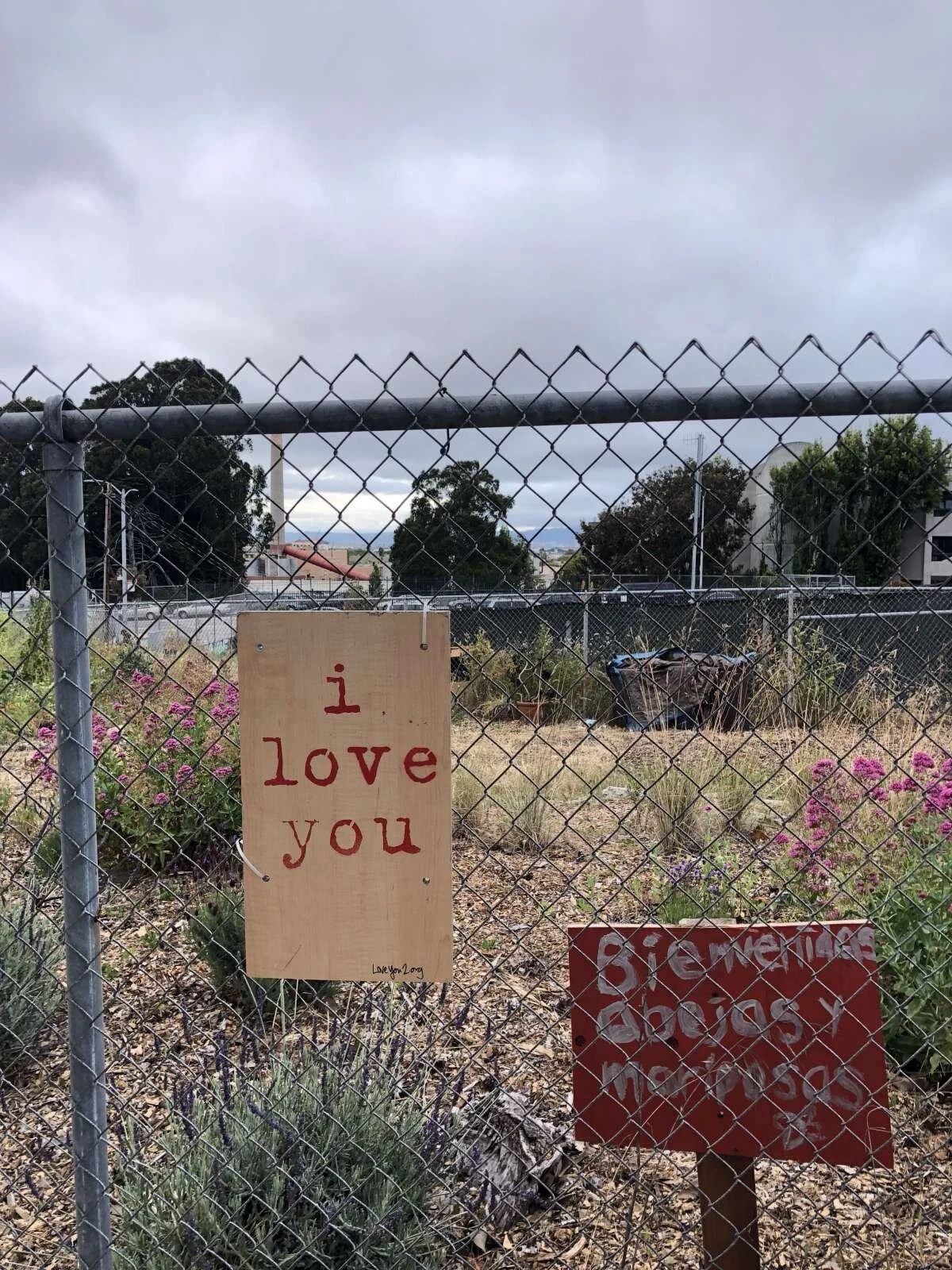 i love you: palou community garden
