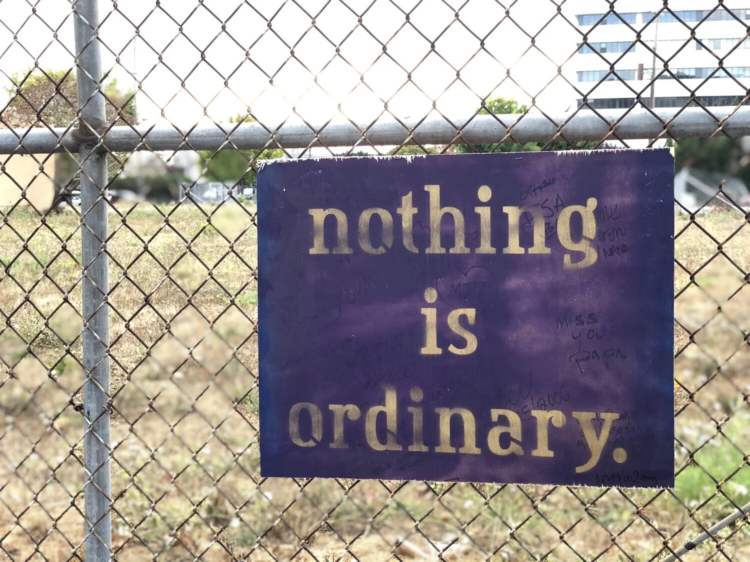 Nothing is ordinary: Berkeley