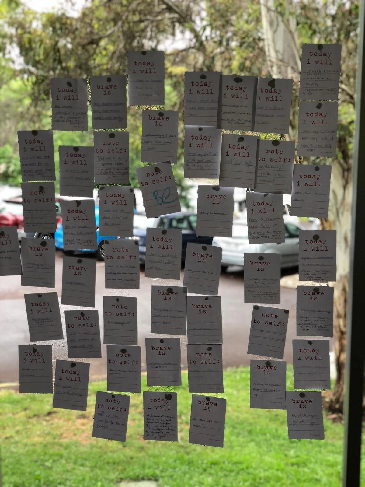 Compassion Revolution