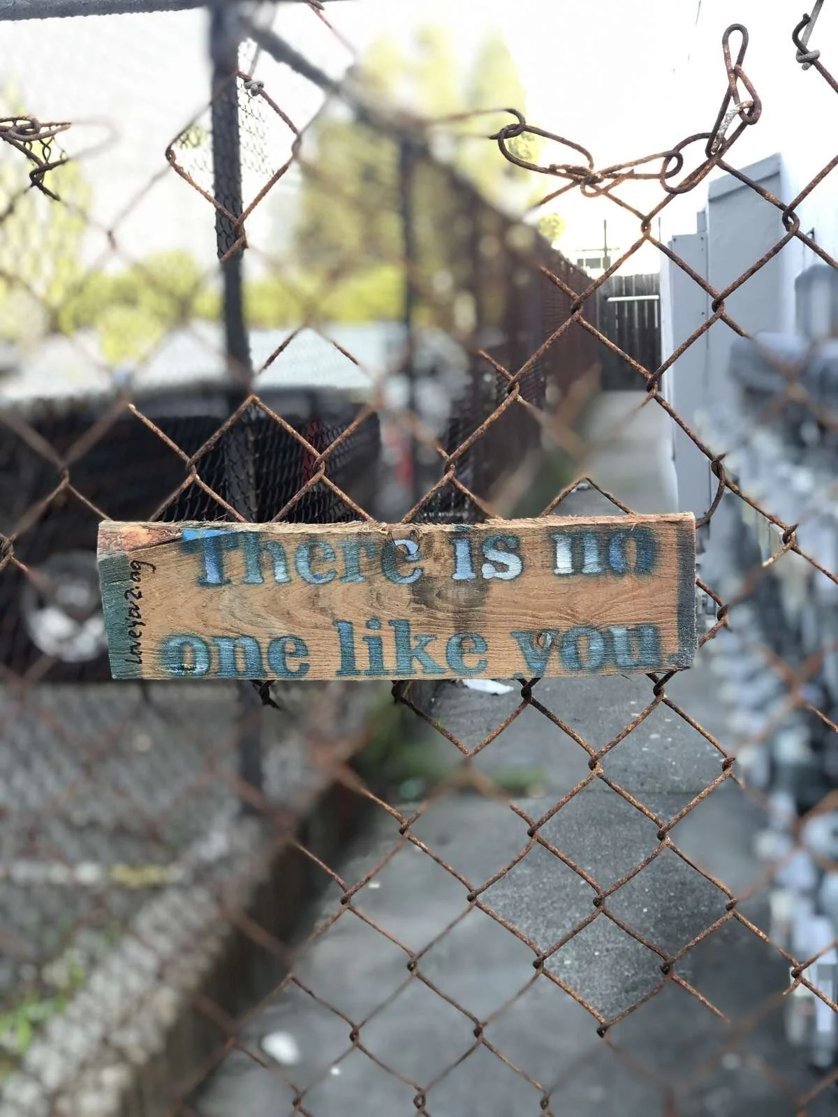 there is no one like you: fillmore