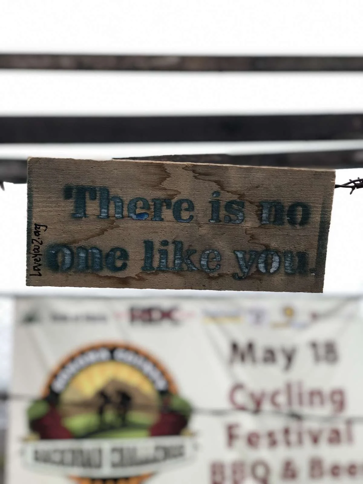 there is no one like you: petaluma