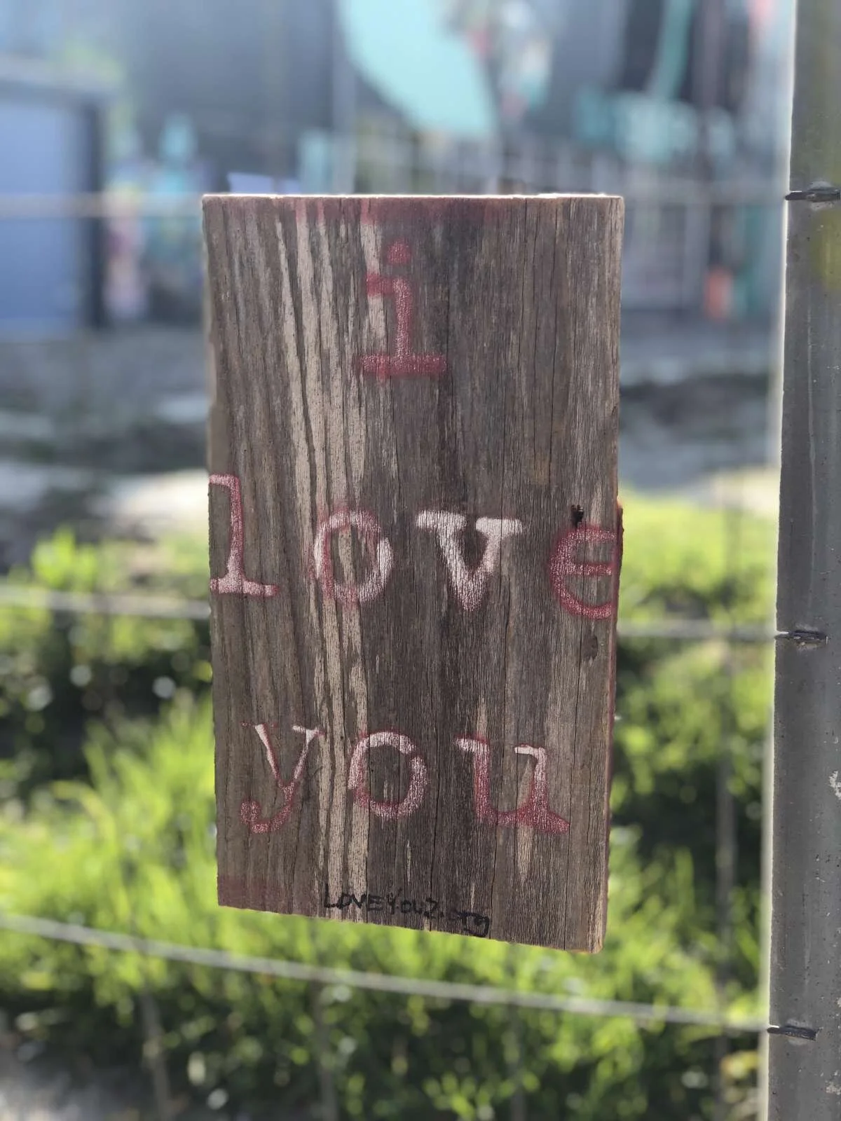 You are loved, Taft. Eindhoven, Holland